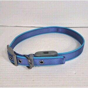 Nite Ize NiteDog Rechargeable LED Dog Collar XL 24–28" Blue Light Safety Pet